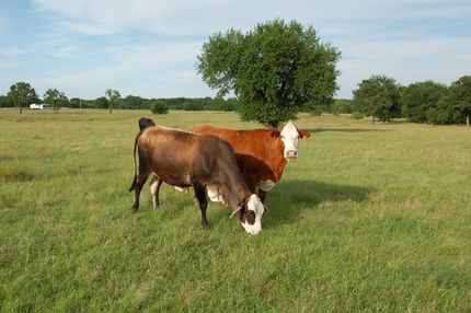 Land in Coal County, Oklahoma