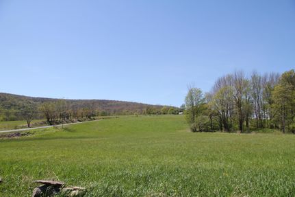 Undeveloped Land in Wayne County, Pennsylvania