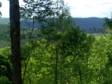 Timberland Property in Wayne County, Kentucky