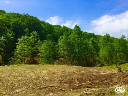 Land in Hawkins County, Tennessee