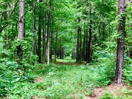 Recreational Property in Northampton County, North Carolina