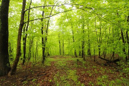 Hunting Property in Morgan County, Ohio