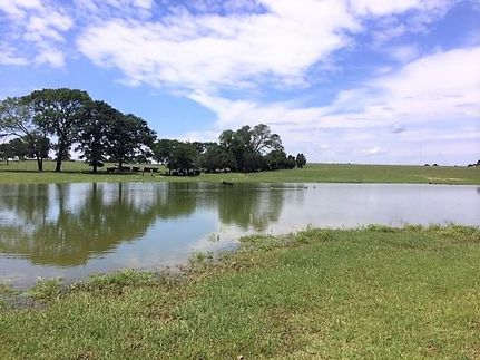 Land in Henderson County, Texas