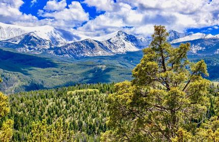 Land in Deer Lodge County, Montana