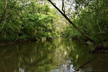 Recreational Property in Cass County, Indiana