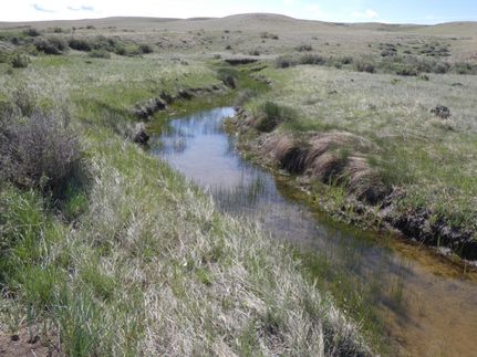 Farm and Ranch in Albany County, Wyoming