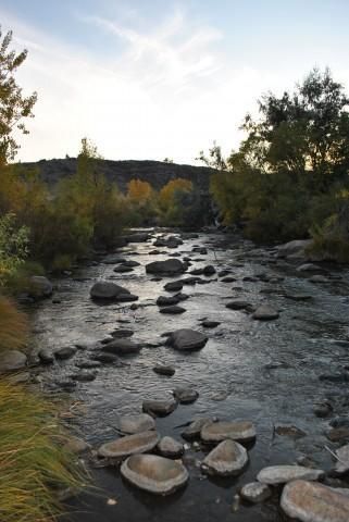 Undeveloped Land in Platte County, Wyoming