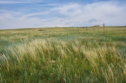 Undeveloped Land in Platte County, Wyoming