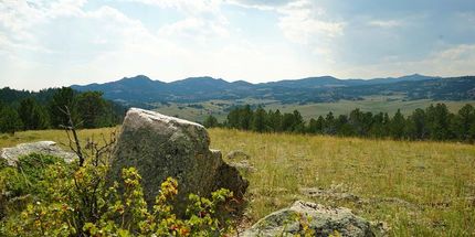 Farm and Ranch in Albany County, Wyoming
