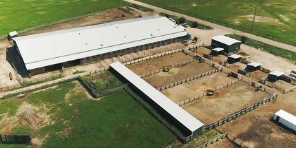 Recreational Property in Albany County, Wyoming