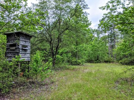 Recreational Property in Holmes County, Florida
