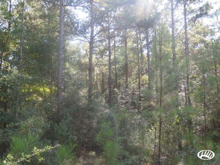 Hunting Property in Wayne County, Mississippi