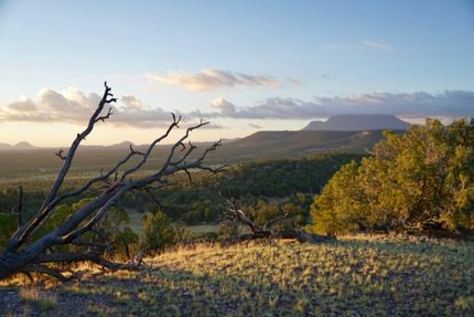 Undeveloped Land in Catron County, New Mexico