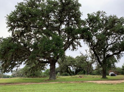 Commercial Property in Jackson County, Texas