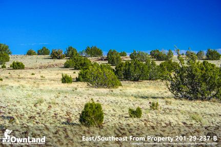 Farm and Ranch in Apache County, Arizona