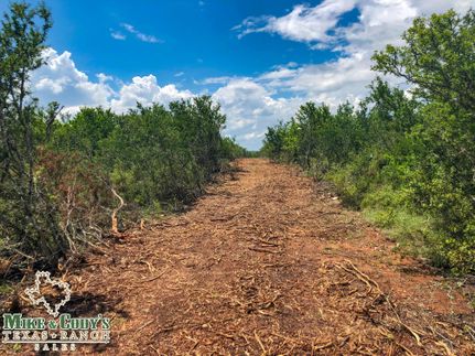 Hunting Property in Frio County, Texas