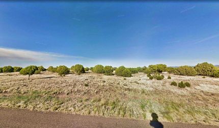 Undeveloped Land in Navajo County, Arizona