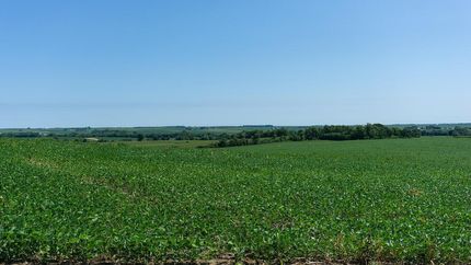 Farm and Ranch in Saunders County, Nebraska