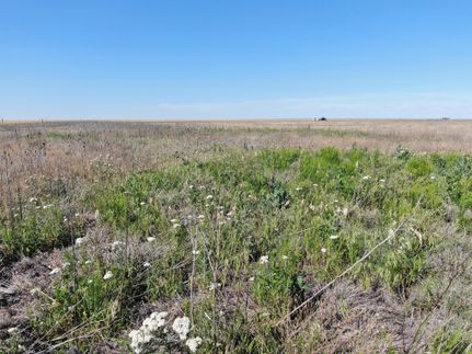 Farm and Ranch in Briscoe County, Texas