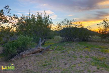 Timberland Property in Maricopa County, Arizona