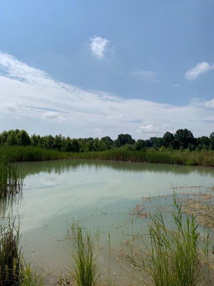 Land in Brown County, Ohio