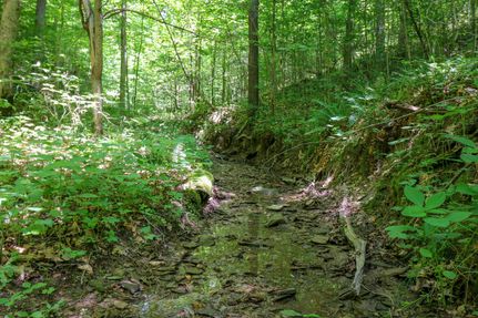 Recreational Property in Muskingum County, Ohio