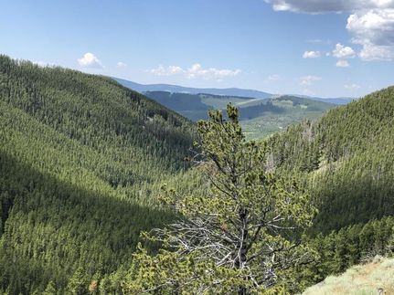 Farm and Ranch in Cascade County, Montana