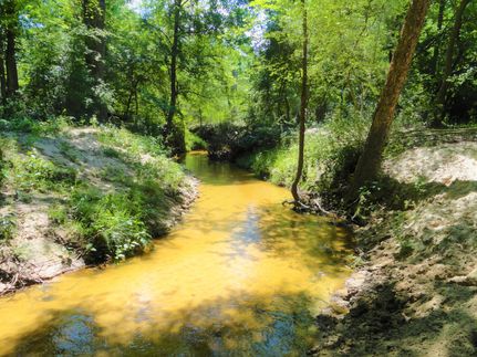 Timberland Property in Leon County, Texas