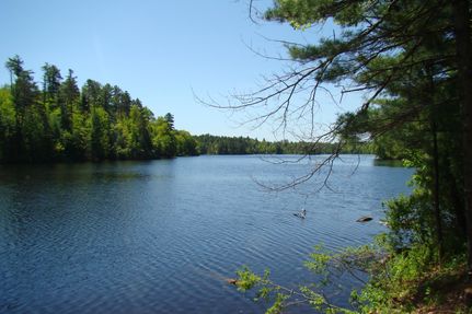 Oceanfront Property in Vilas County, Wisconsin