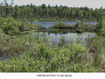 Undeveloped Land in Sullivan County, Pennsylvania