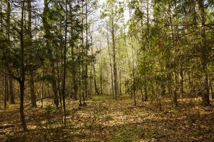 Recreational Property in Chester County, South Carolina