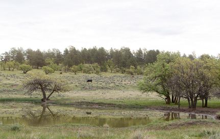 Farm and Ranch in Crook County, Wyoming