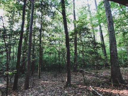 Undeveloped Land in Franklin County, North Carolina