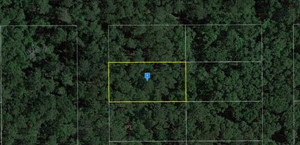 Farm and Ranch in Suwannee County, Florida