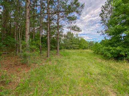 Timberland Property in Miller County, Arkansas
