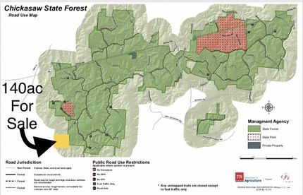 Undeveloped Land in Hardeman County, Tennessee