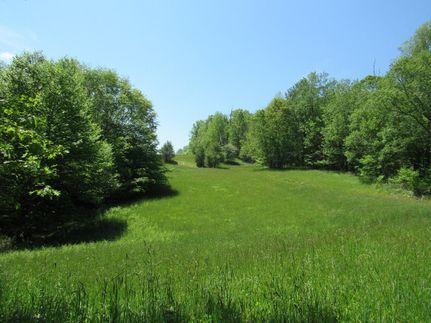Undeveloped Land in Washington County, Virginia