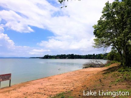 Undeveloped Land in Polk County, Texas
