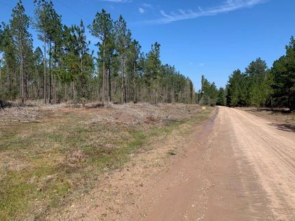Recreational Property in Trinity County, Texas