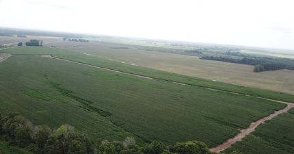 Farm and Ranch in Tensas Parish, Louisiana