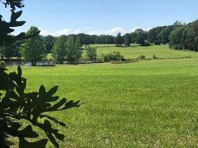 Timberland Property in Morgan County, Alabama