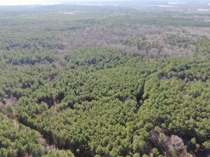 Timberland Property in Yalobusha County, Mississippi