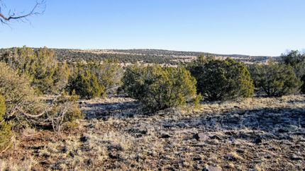 Farm and Ranch in Apache County, Arizona
