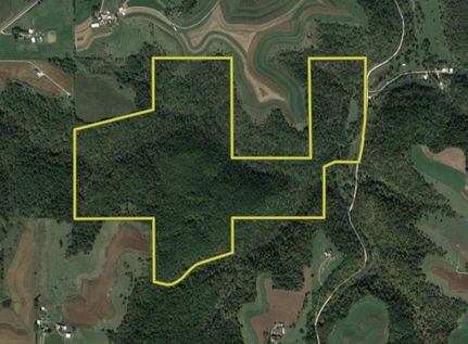 Undeveloped Land in Houston County, Minnesota