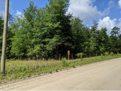 Undeveloped Land in Suwannee County, Florida