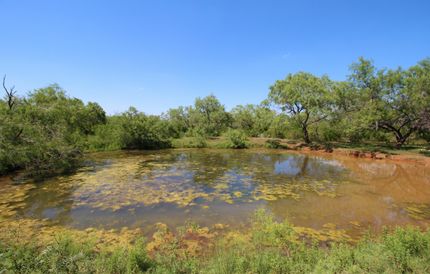 Recreational Property in Atascosa County, Texas
