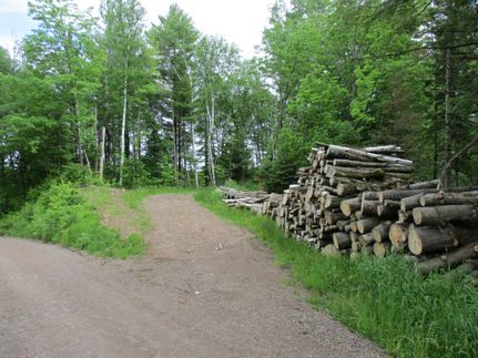Farm and Ranch in Taylor County, Wisconsin