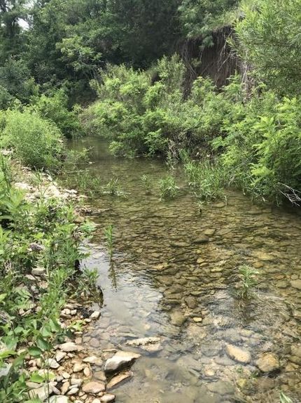 Recreational Property in Comanche County, Texas