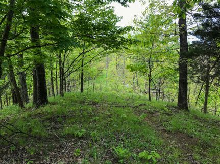 Land in Gallia County, Ohio