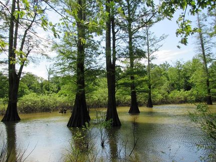 Recreational Property in Ballard County, Kentucky